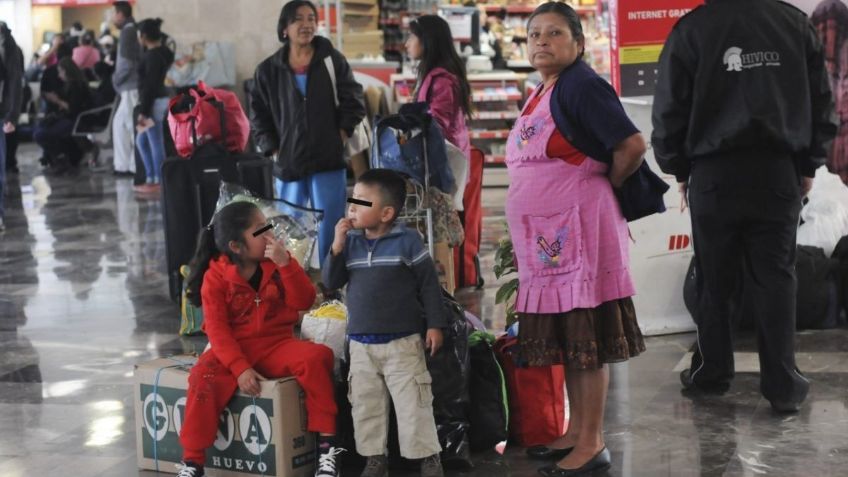 Cajas de huevo, PROHIBIDAS para viajar en esta línea de autobuses; ¿por qué?