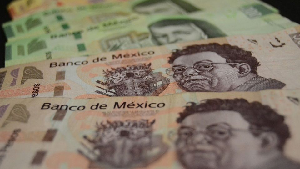 20 de diciembre es el plazo máximo para recibir el pago del patrón. Foto: Pixabay