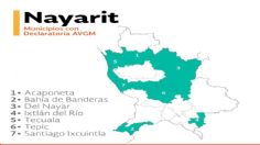 Analizan incluir a 20 municipios de Nayarit en alerta por violencia contra la mujer