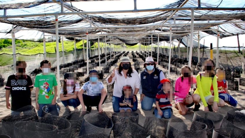 Reconoce SEDESU el apoyo de Fundación Coppel y CTTMX para la conservación de la tortuga marina en Sinaloa