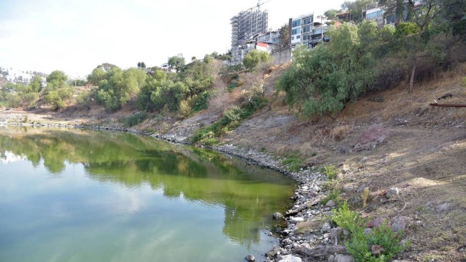 Vecinos en Edomex exigen solución al problema de contaminación de la Presa Madín (Foto: Especial)