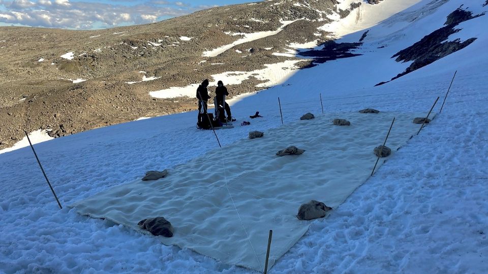 Una sábana de tela protegió parte del glaciar Helags en el norte de Suecia durante el verano. Foto: Reuters