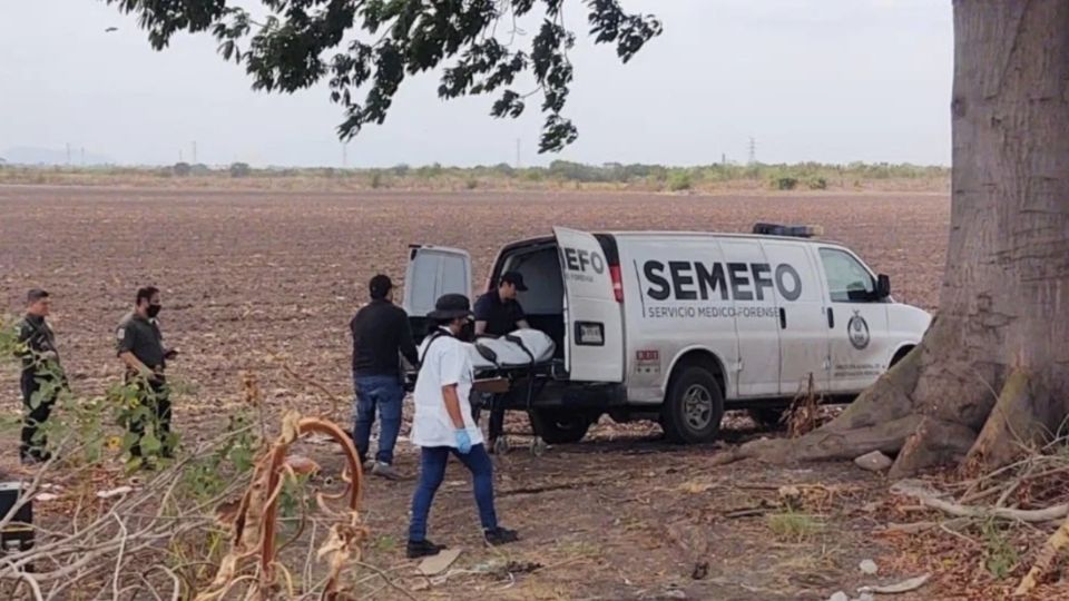 Las autoridades trabajan para erradicar estos delitos