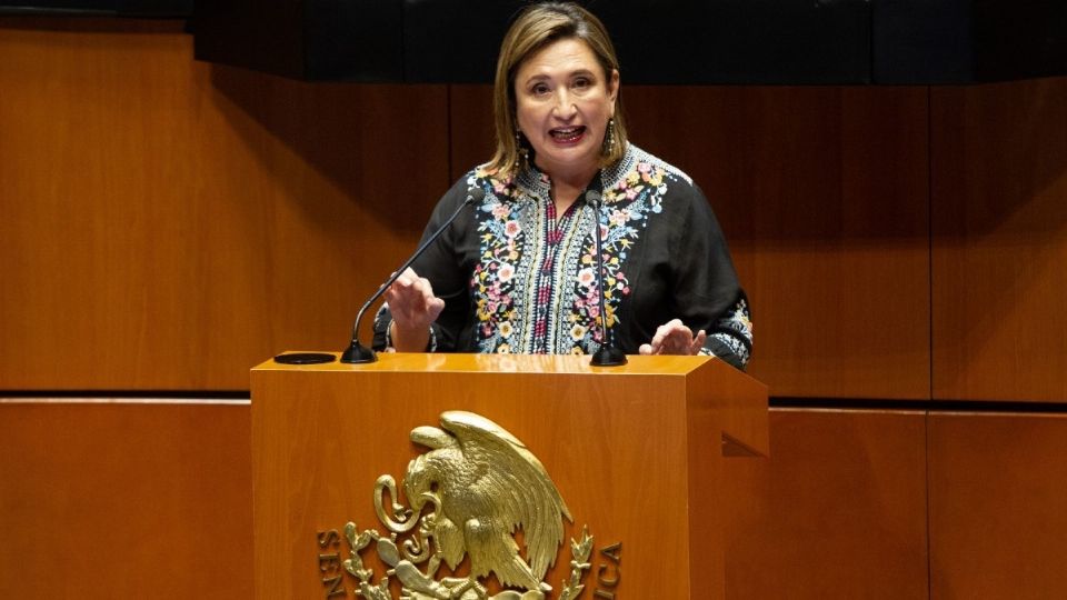 Xóchitl Gálvez, senadora del PAN. Foto: Archivo