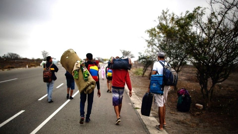 Fueron llevados al Instituto Nacional de Migración (INM).