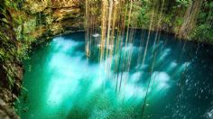 Cenotes Urbanos: Jóvenes luchan por la protección del medio ambiente en Playa del Carmen