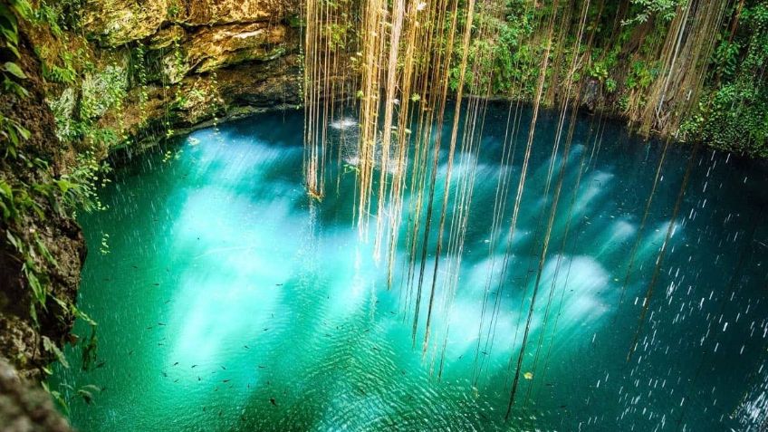 Cenotes Urbanos: Jóvenes luchan por la protección del medio ambiente en Playa del Carmen