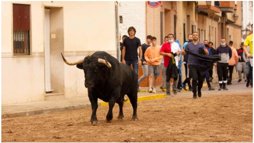 España: Hombre desafía a un toro de lidia y pierde la vida en un encierro