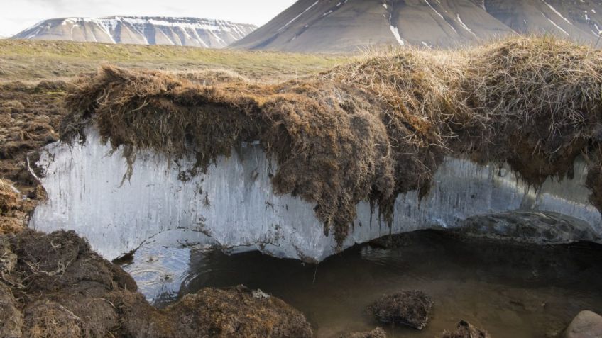 ¿Qué es el permafrost y por qué es el mayor riesgo para la humanidad? Te lo explicamos