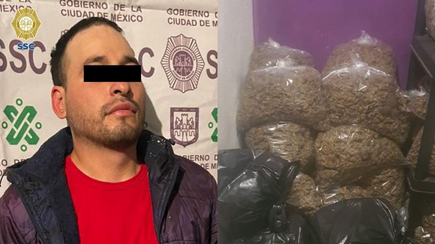 SSC asegura 250 kilos de marihuana en cateo en alcaldía Venustiano Carranza