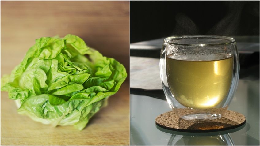 Té de lechuga: 5 beneficios de esta bebida y cómo debes prepararla