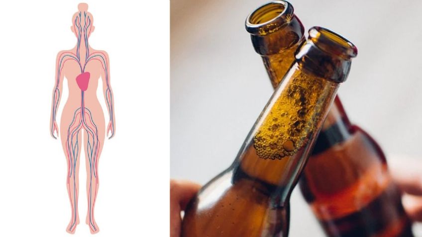 Esto pasa en tu CUERPO en los primeros 60 minutos después de beber una CERVEZA