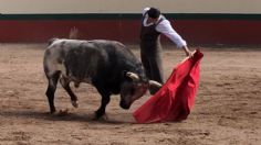 Rogelio Treviño y los toros, un camino hacia la querencia