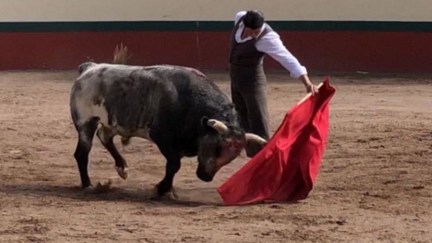 Rogelio Treviño y los toros, un camino hacia la querencia