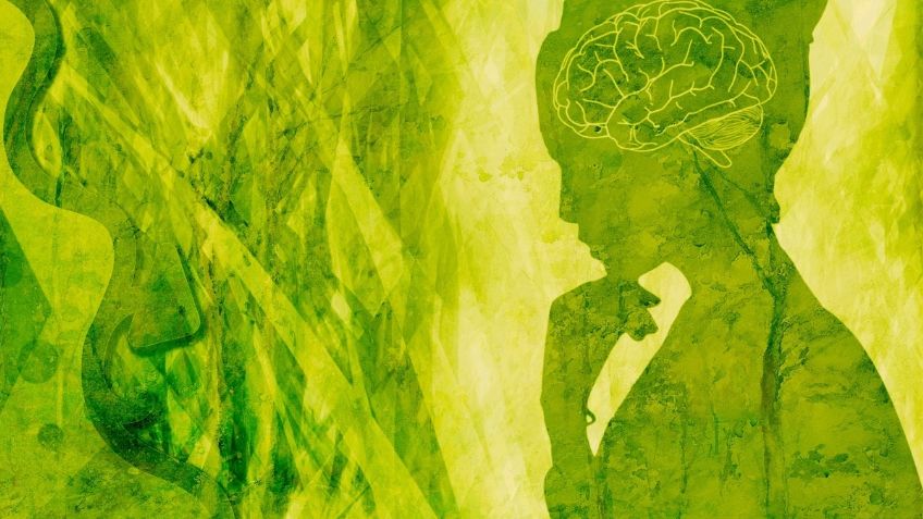 ¿Problemas con la memoria? estos cinco alimentos te ayudarán a estimular tu cerebro