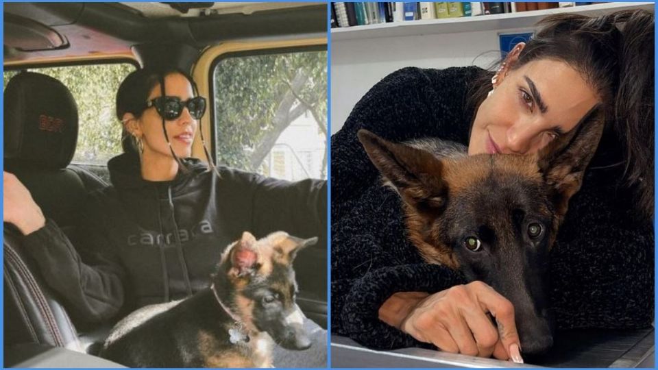 El perrito de Bárbara de Regil perdió la vida por un descuido
(Foto: Instagram @barbaraderegil)