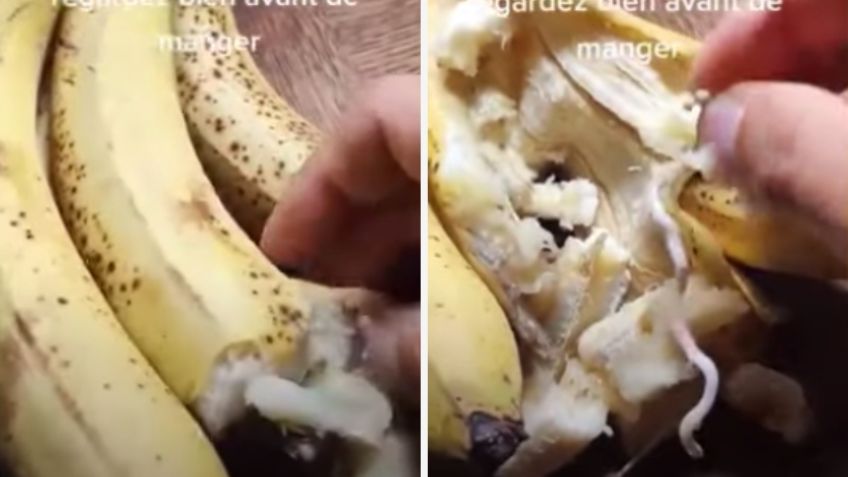 Gusanos en plátanos ¿es cierto el VIDEO con la fruta llena de animales que circula WhatsApp?