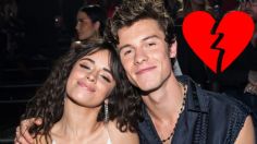 Camila Cabello y Shawn Mendes terminan su relación de manera oficial y lo hacen con EMOTIVO mensaje