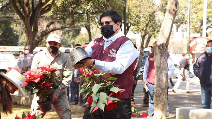 Alcaldes de Morena crean red para reactivar la economía; inician con Xochimilco y el cultivo de flor de nochebuena