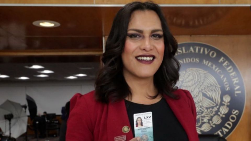 María Clemente García forma parte de la actual LXV Legislatura en la Cámara de Diputados representando a Morena. FOTO: Captura de pantalla