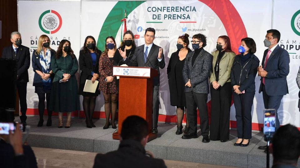 Oposición presentará acciones de inconstitucionalidad por recortes al INE y salud (Foto: Especial)