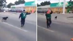 "Vamos, nene": Policía vial detiene vehículos para ayudar a perrito a cruzar la calle | VIDEO VIRAL