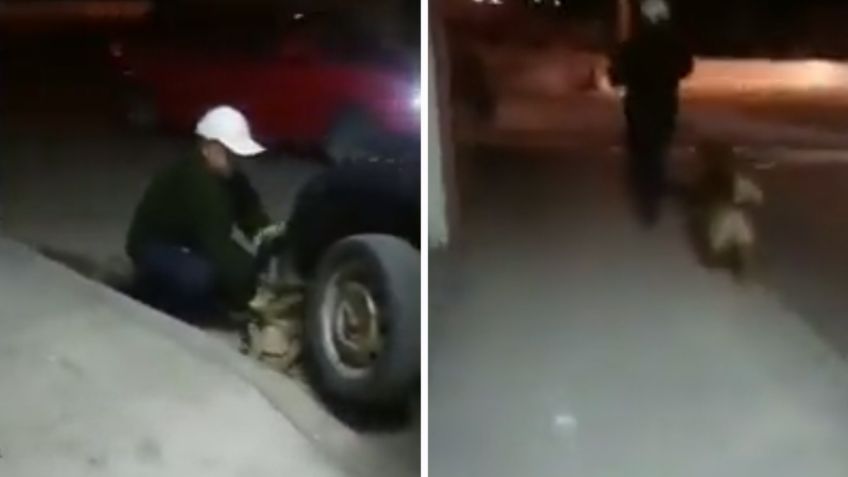 Hombre lanza a perrito a una barranca en Puebla, exigen castigar al responsable: VIDEO