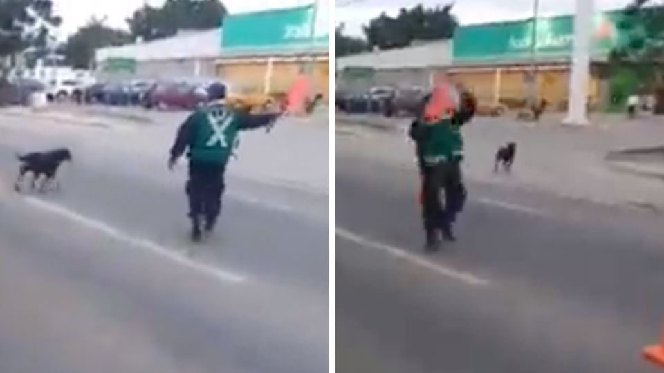 Policía vial detiene vehículos para ayudar a un perrito a cruzar la calle. Foto: Especial