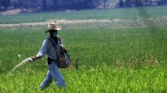 CAADES mantiene su apoyo a la planta de fertilizantes y llama a participar a su favor en la consulta