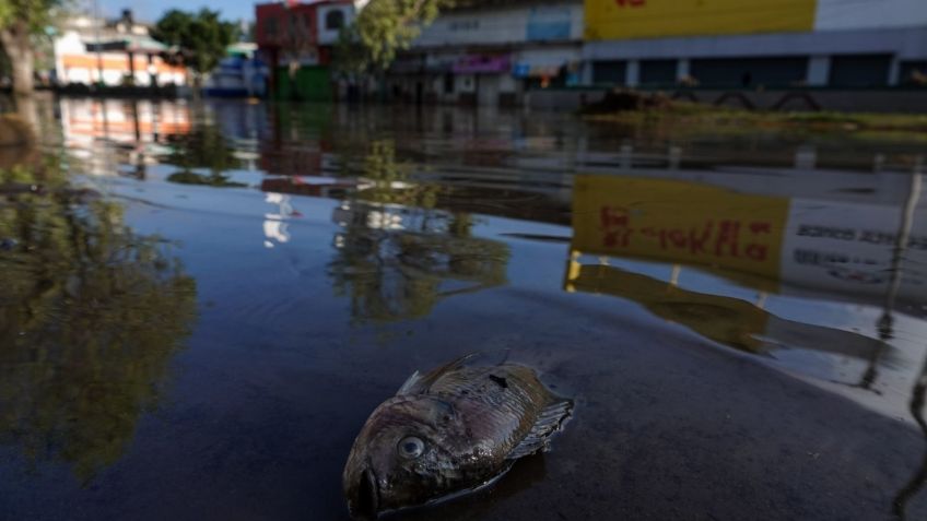 Secretaria de Obras solicita 2 mil 400 mdp para evitar más inundaciones en Tula