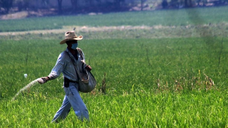 Los productores serán favorecidos con esta situación.