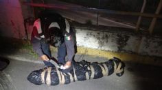 Veracruz: ¡Broma siniestra! Automovilistas reportan cuerpos colgados en un puente