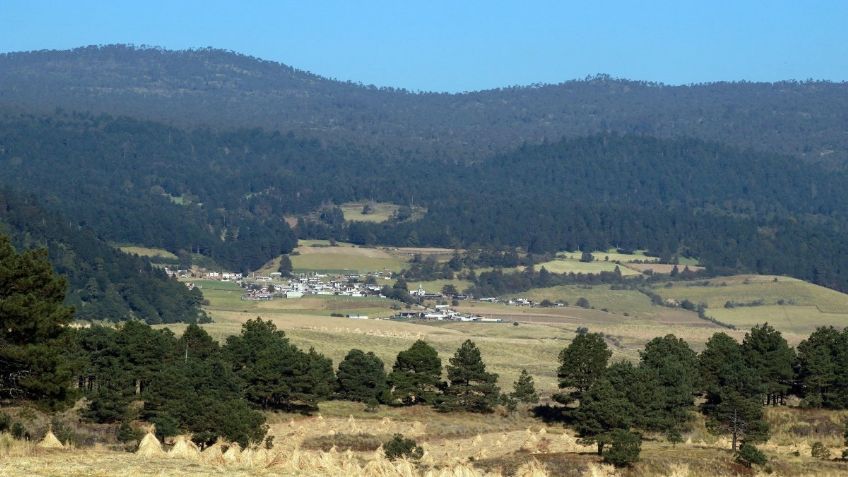 COP26: México SÍ firmó la declaración para detener la deforestación mundial