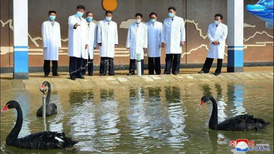 Las autoridades de Corea del Norte aseguran que la carne es mejor para la salud de las personas. Foto: Especial.