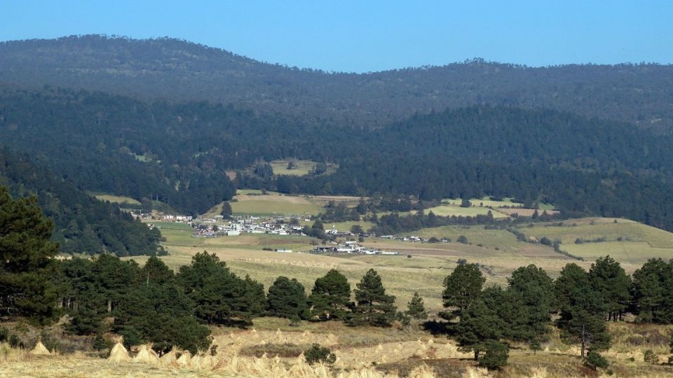 105 países se habían sumado previamente a la declaración. Foto: Cuartoscuro