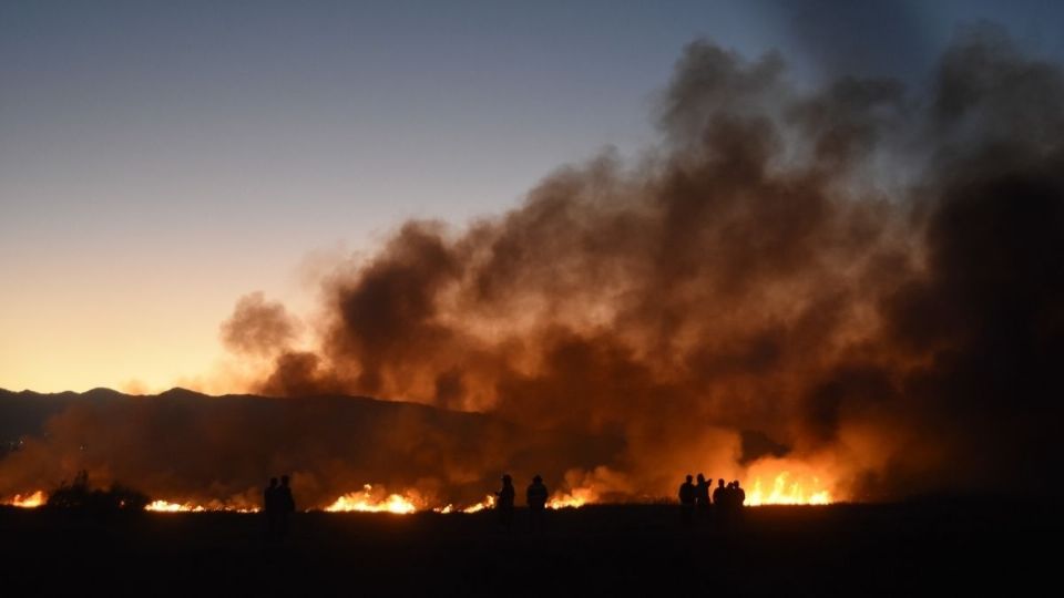 2021. Tlalpan y Milpa Alta representan 91 por ciento de la superficie afectada por el fuego. Foto: Cuartoscuro