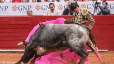 Prohibición de las corridas de toros en la CDMX se aprobará después de consultar a la ciudadanía, asegura Morena