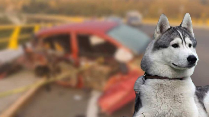 TRAGEDIA: Hombre y lomito fallecen en accidente en la autopista México Toluca