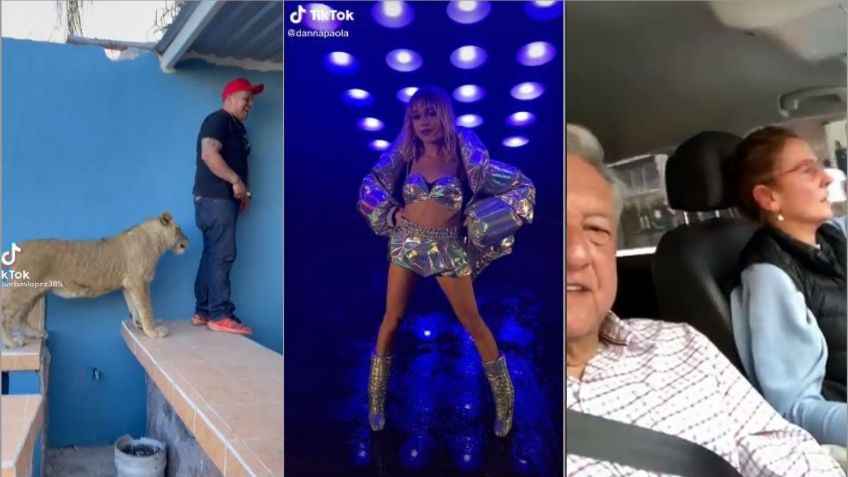 Danna Paola en look setentero y un hombre perseguido por un león: los mejores videos de Tik-Tok este 21 de noviembre