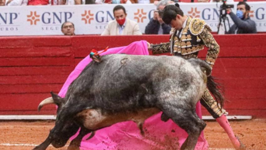 Prohibición de las corridas de toros responde a un sector que quiere imponer su moralidad: Tauromaquia Mexicana