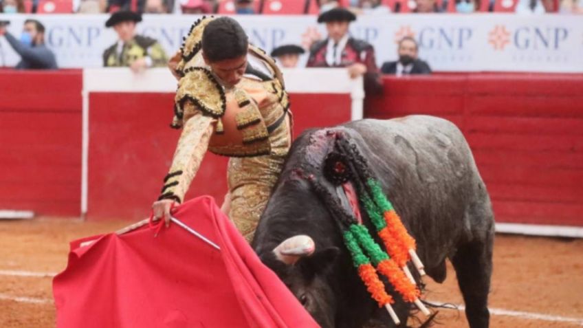 Corridas de Toros: Admiten impugnación sobre freno a espectáculos en Plaza México