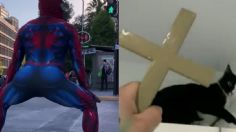 El sensual baile del Hombre araña en tacones y el exorcismo de un gatito: Los mejores TikTok de este 23 de noviembre