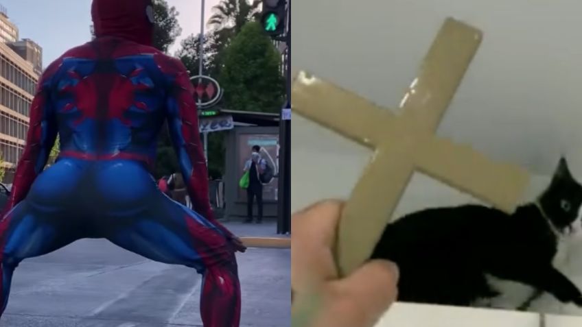 El sensual baile del Hombre araña en tacones y el exorcismo de un gatito: Los mejores TikTok de este 23 de noviembre