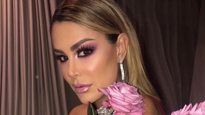 Así fue el reencuentro de Ninel Conde con su pequeño hijo tras casi dos años de no convivir