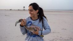 La fotógrafa Fernanda Linage protege a los flamencos del cambio climático