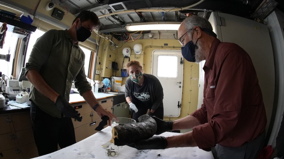 El descubrimiento sorprendió a la comunidad científica. Foto: MBARI.