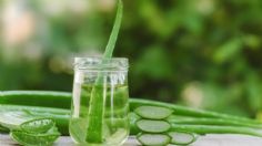 Triglicéridos altos: Redúcelos con este jugo de aloe vera y mejora tu salud