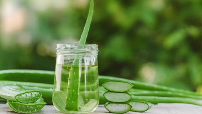 Triglicéridos altos: Redúcelos con este jugo de aloe vera y mejora tu salud