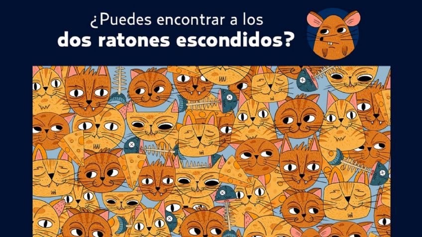 Reto visual: Encuentra los 2 ratones en 10 segundos; el 95% no lo logra