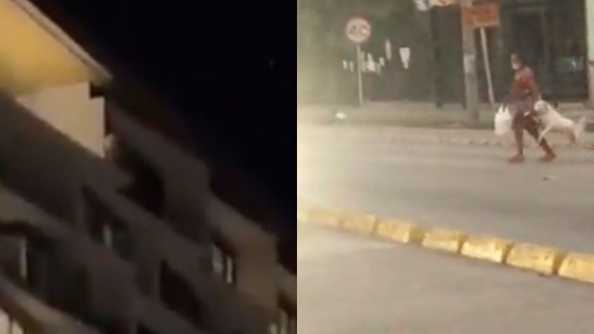 Hombre se avienta de edificio y perro cruza la calle de la mano de su dueña: Los mejores TikTok de este 30 de noviembre